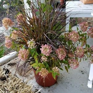 Meet your Posher, Jody